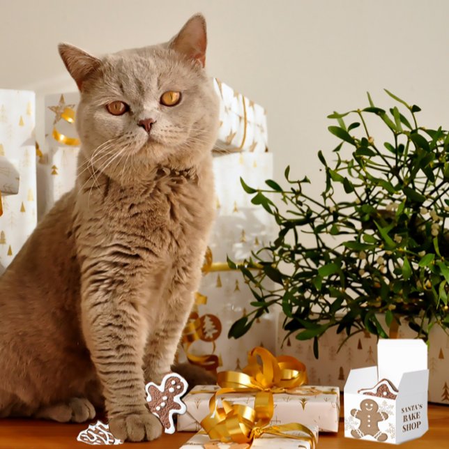 Caixinha De Lembrancinhas Flocos de neve e biscoito de gengibre Natal (Criador carregado)