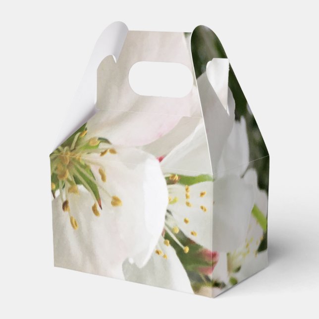 Caixinha De Lembrancinhas Flor de maçã (Frente)