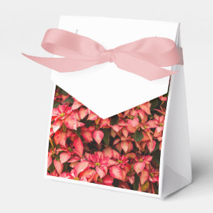 Caixinha De Lembrancinhas Flor de Poinsettia de Natal Vermelho
