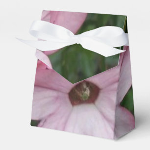 Caixinha De Lembrancinhas Flor-Estrela Rosa (Nicotânia)