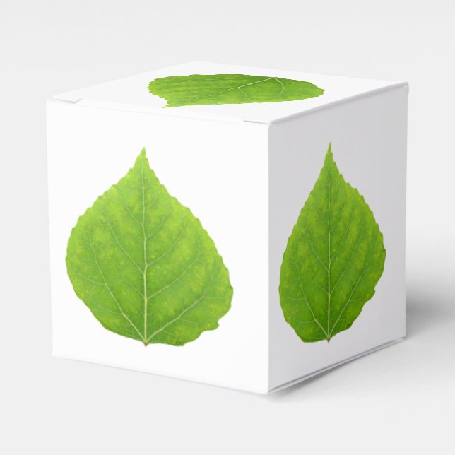 Caixinha De Lembrancinhas Folha Verde Aspen #11 (Frente)