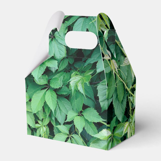 Caixinha De Lembrancinhas Folhas de Grama Verde (Verso)