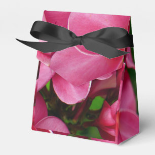 Caixinha De Lembrancinhas Foto floral de plumeria rosa