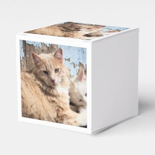 Caixinha De Lembrancinhas Gatos
