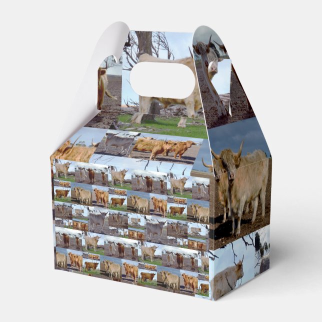 Caixinha De Lembrancinhas Glória do Planalto: Uma Colagem de Fotos de Vacas  (Frente)