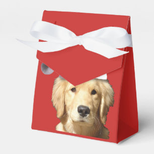 Caixinha De Lembrancinhas Golden retriever Papai Noel