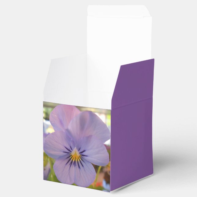 Caixinha De Lembrancinhas Haetzlern (Aberto)