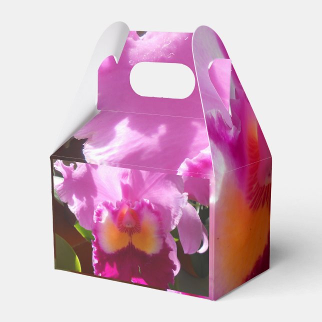 Caixinha De Lembrancinhas Harlinde (Verso)