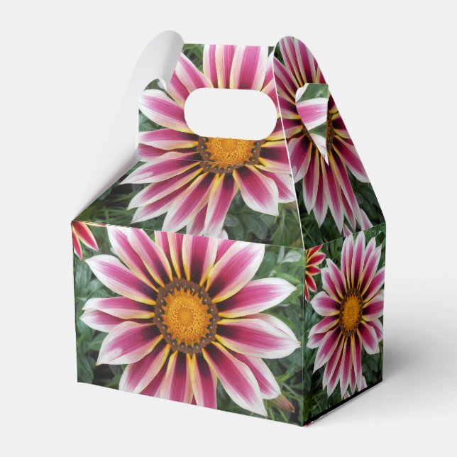 Caixinha De Lembrancinhas Hereford (Frente)