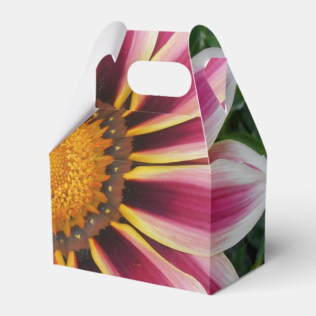 Caixinha De Lembrancinhas Hereford (Frente)