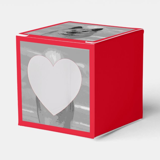 Caixinha De Lembrancinhas IslandêsSheepdog20151203 (Frente)