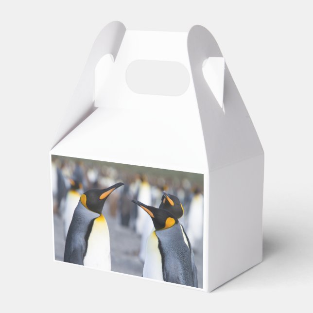 Caixinha De Lembrancinhas King Penguins (Verso)