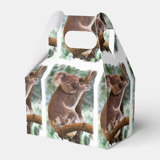 Caixinha De Lembrancinhas Koala Bear (Frente)