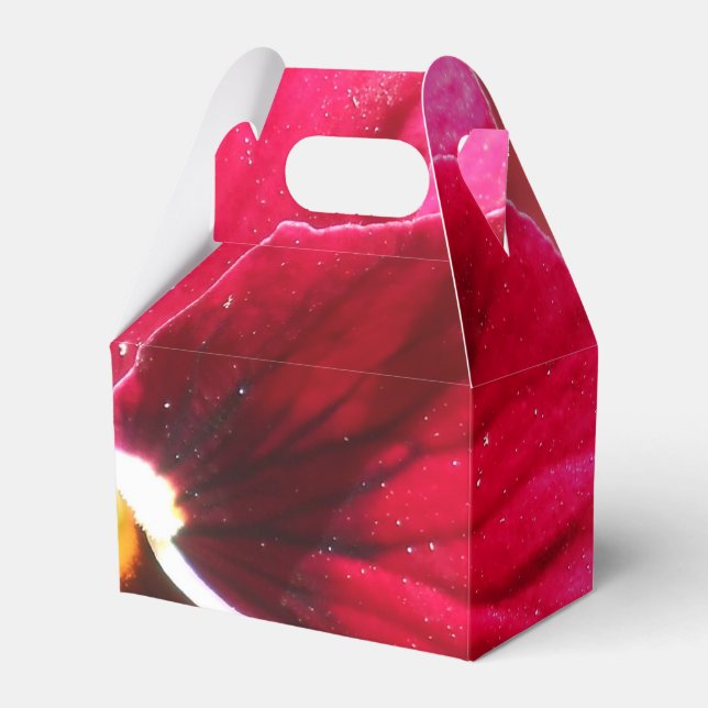 Caixinha De Lembrancinhas Lucrezia (Frente)