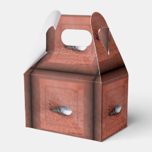 Caixinha De Lembrancinhas Macro Fotografia de Caracol em Terracotta