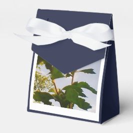 Caixinha De Lembrancinhas Marinho rosa branco azul