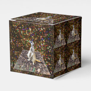 Caixinha De Lembrancinhas Meerkat Twinkle Stars,