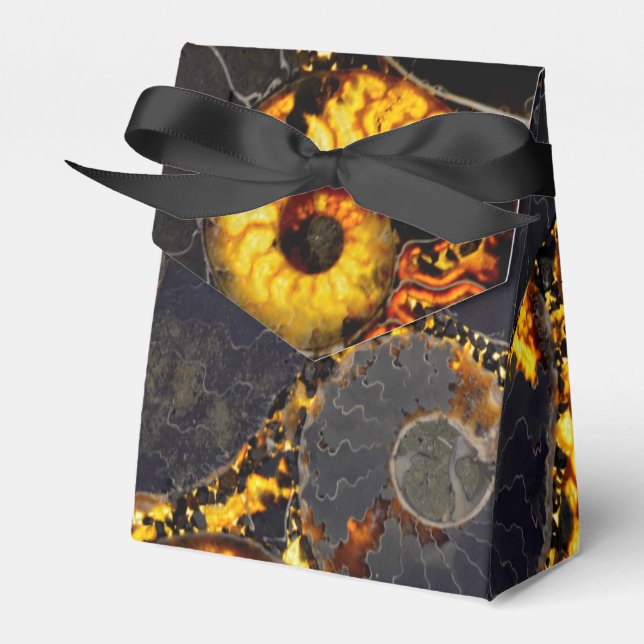 Caixinha De Lembrancinhas Nautilus shell design (Frente)