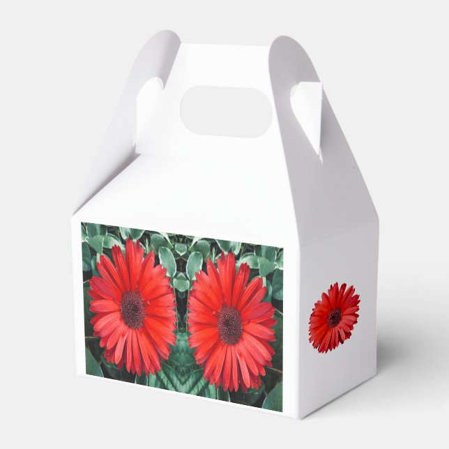 Caixinha De Lembrancinhas Orange Daisy Favor Box (Frente)