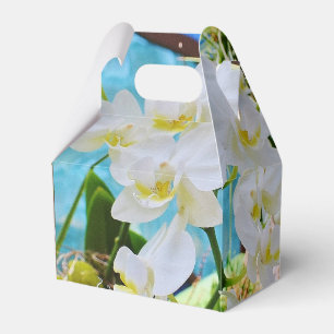 Caixinha De Lembrancinhas Orquídeas brancas