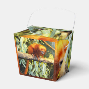Caixinha De Lembrancinhas Ouro Lion Tamarin, Partido Favor Box