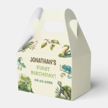 Partido do Aniversário de criança da Selva Tropica