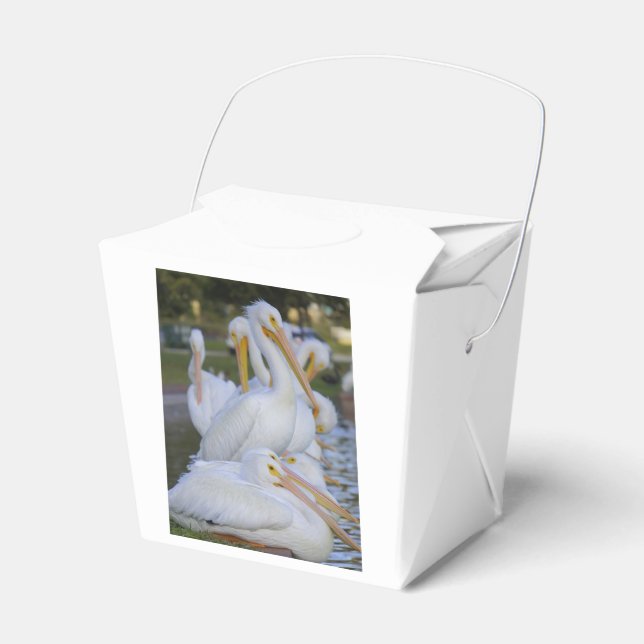 Caixinha De Lembrancinhas Pelican Pile Favor Box (Frente)