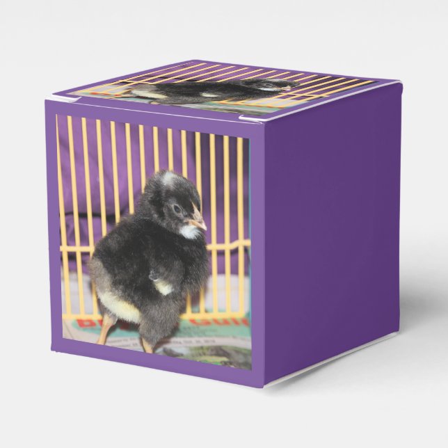 Caixinha De Lembrancinhas Pista (Frente)