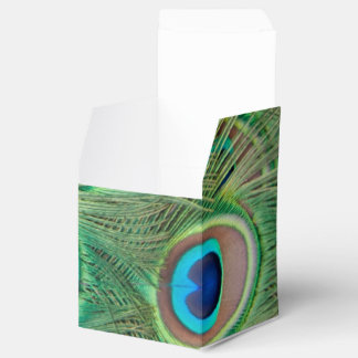 Caixinha De Lembrancinhas Plumagem de peacock