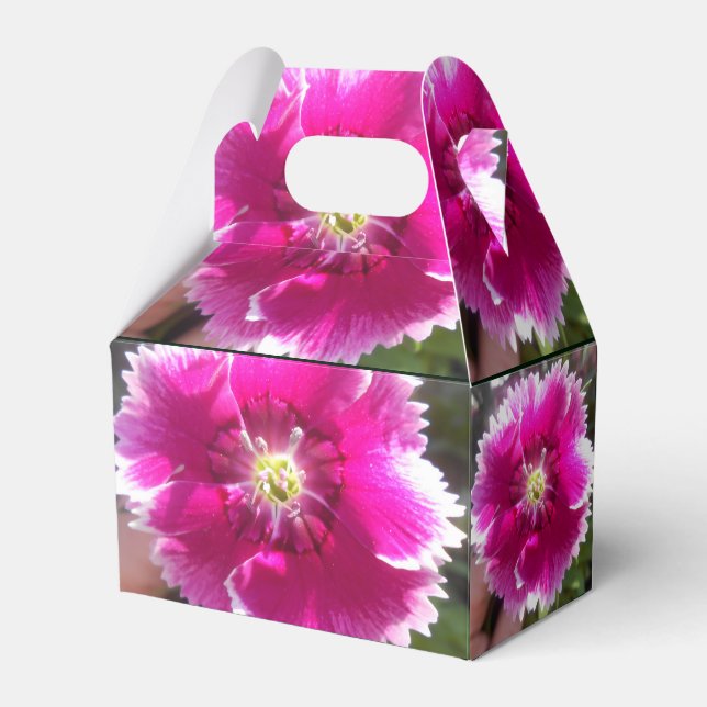 Caixinha De Lembrancinhas Promessa (Verso)