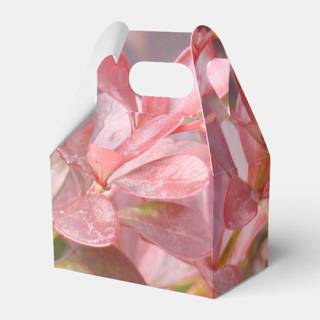 Caixinha De Lembrancinhas Ramificações bonito rosa (Frente)