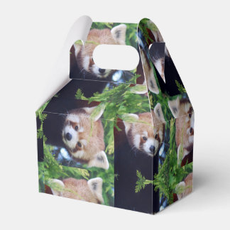 Caixinha De Lembrancinhas Red Panda Pattern