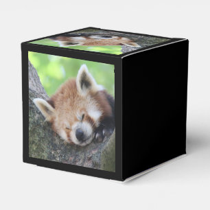 Caixinha De Lembrancinhas RedPanda20150705.jpg