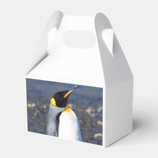 Caixinha De Lembrancinhas Retrato de pinguim (Verso)