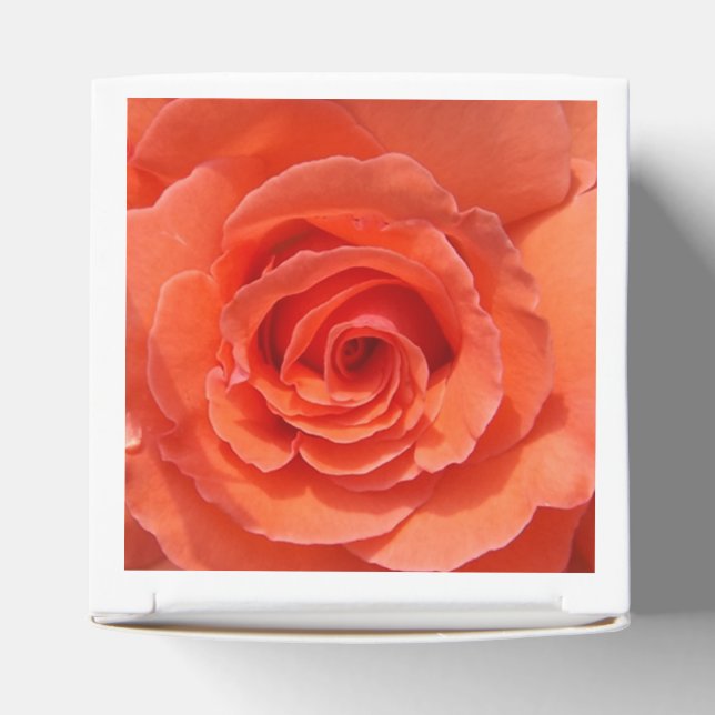 Caixinha De Lembrancinhas Rosa de pêssego (Topo)