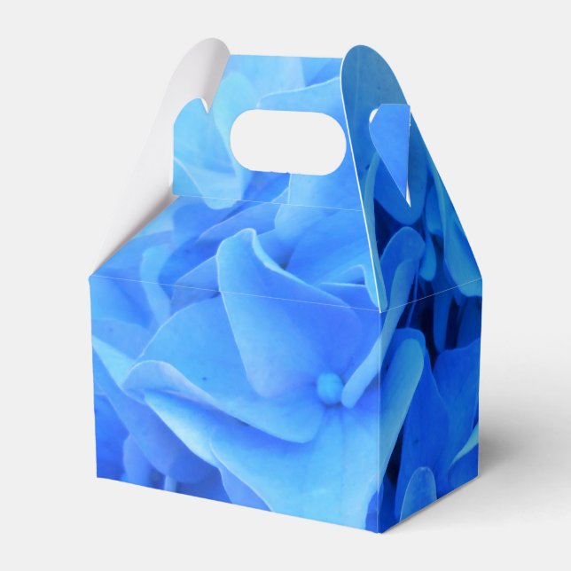 Caixinha De Lembrancinhas Seraphine (Verso)