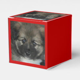 Caixinha De Lembrancinhas Sheepdog Islandês 2014-0808