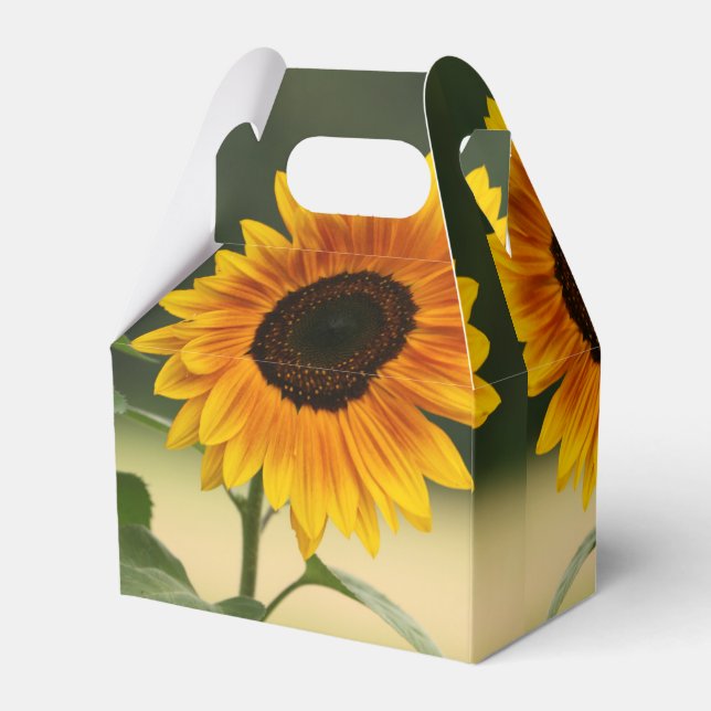 Caixinha De Lembrancinhas Summer Sunflower Organic Favor Box (Verso)
