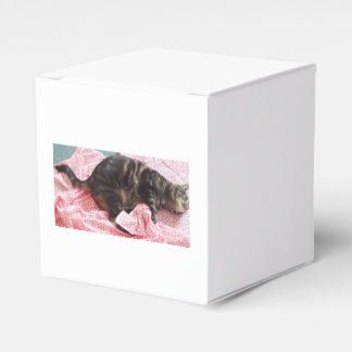 Caixinha De Lembrancinhas Tailor Dave Favor Box