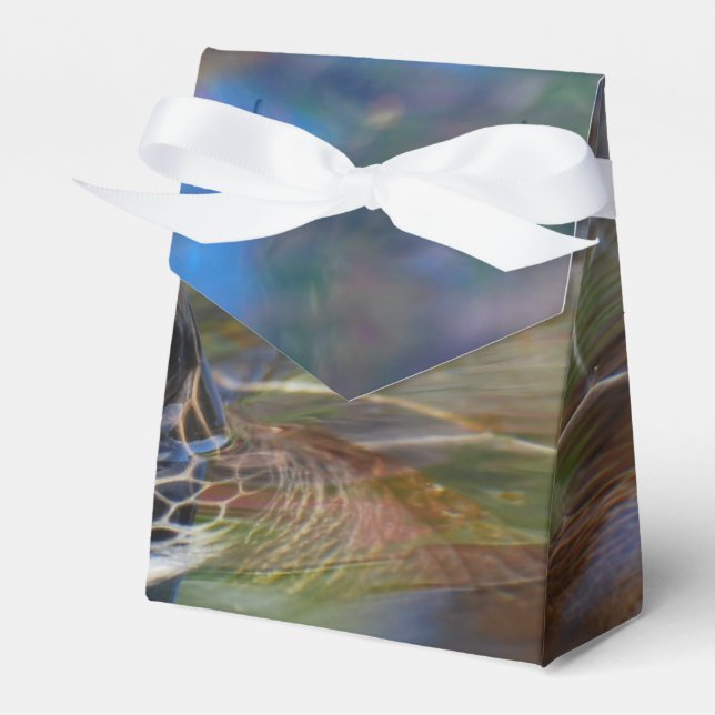 Caixinha De Lembrancinhas Tartaruga marinha (Frente)