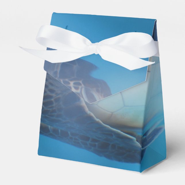 Caixinha De Lembrancinhas Tartaruga marinha (Frente)