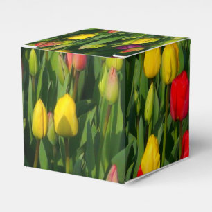 Caixinha De Lembrancinhas Tulipas Coloridas