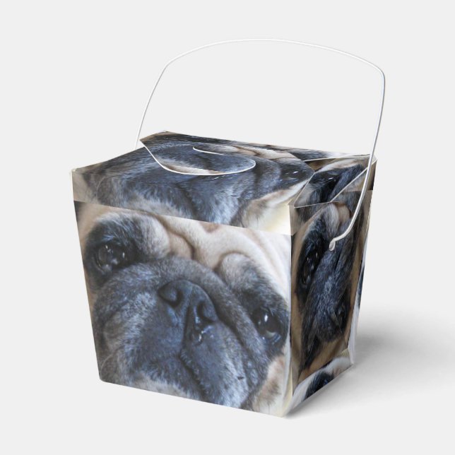 Caixinha De Lembrancinhas Vá Bem Em Breve, Cachorro Doente (Frente)