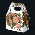 Caixinha De Lembrancinhas Vintage Rosas Belos Botânicos Rosa<br><div class="desc">Uma bela e antiga pintura de rosa dos anos 1800.</div>