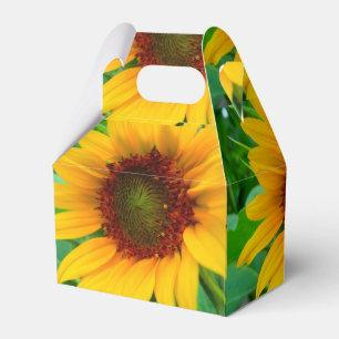 Caixinha De Lembrancinhas Vivid Sunflower
