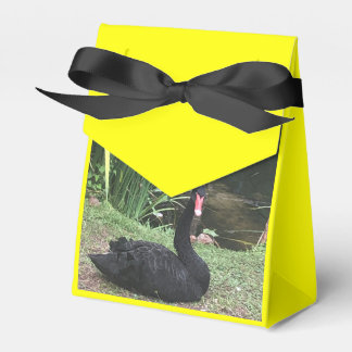 Caixinha De Lembrancinhas Zoo Love