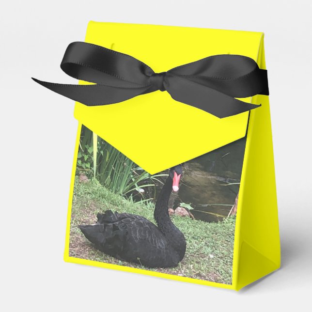 Caixinha De Lembrancinhas Zoo Love (Frente)