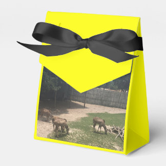 Caixinha De Lembrancinhas Zoo Love