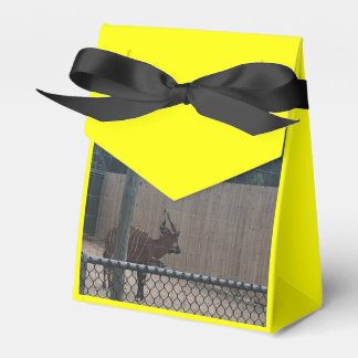 Caixinha De Lembrancinhas Zoo Love