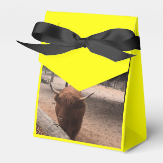 Caixinha De Lembrancinhas Zoo Love